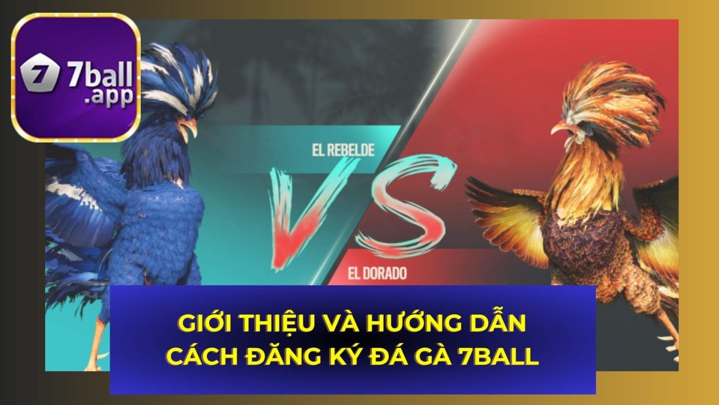 Giới thiệu và hướng dẫn cách đăng ký Đá gà 7Ball