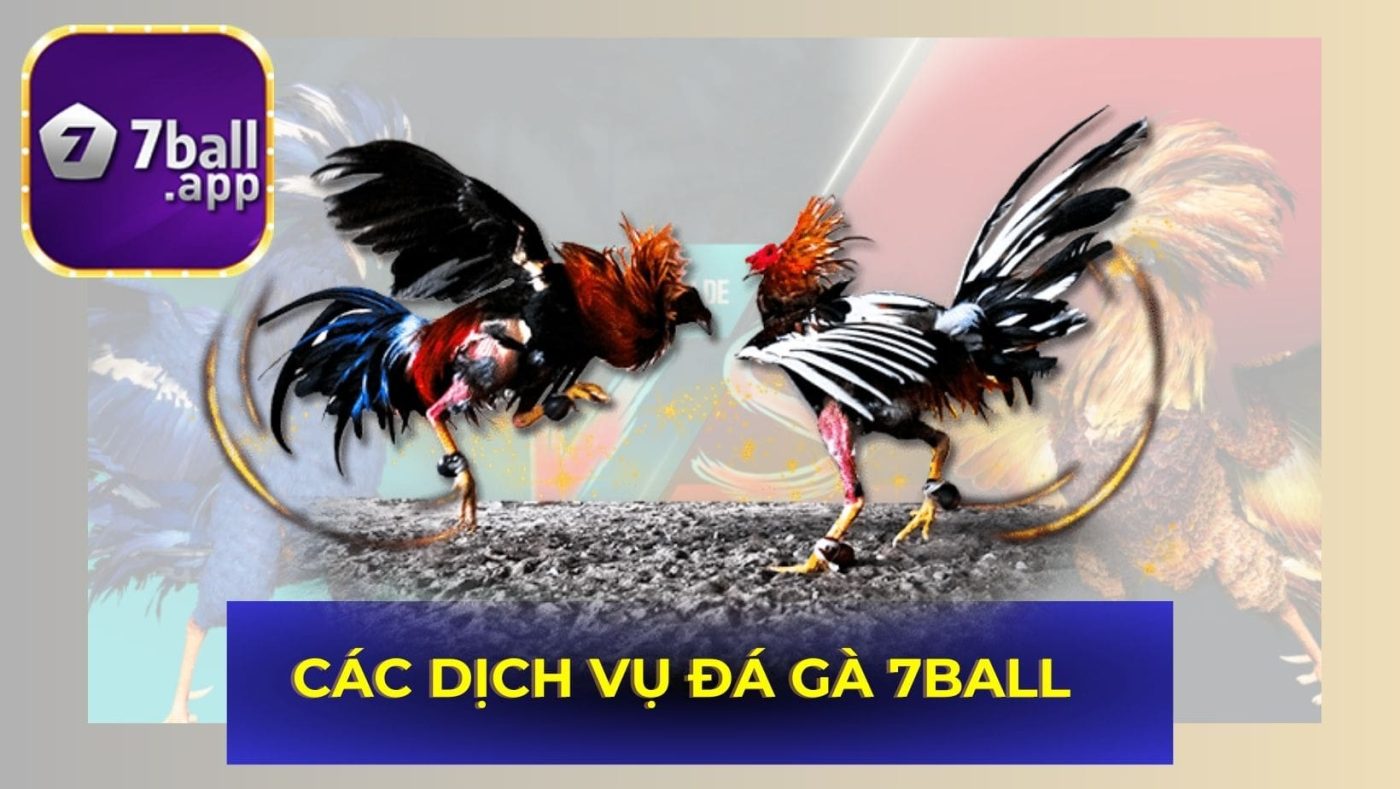 Các dịch vụ Đá gà 7Ball