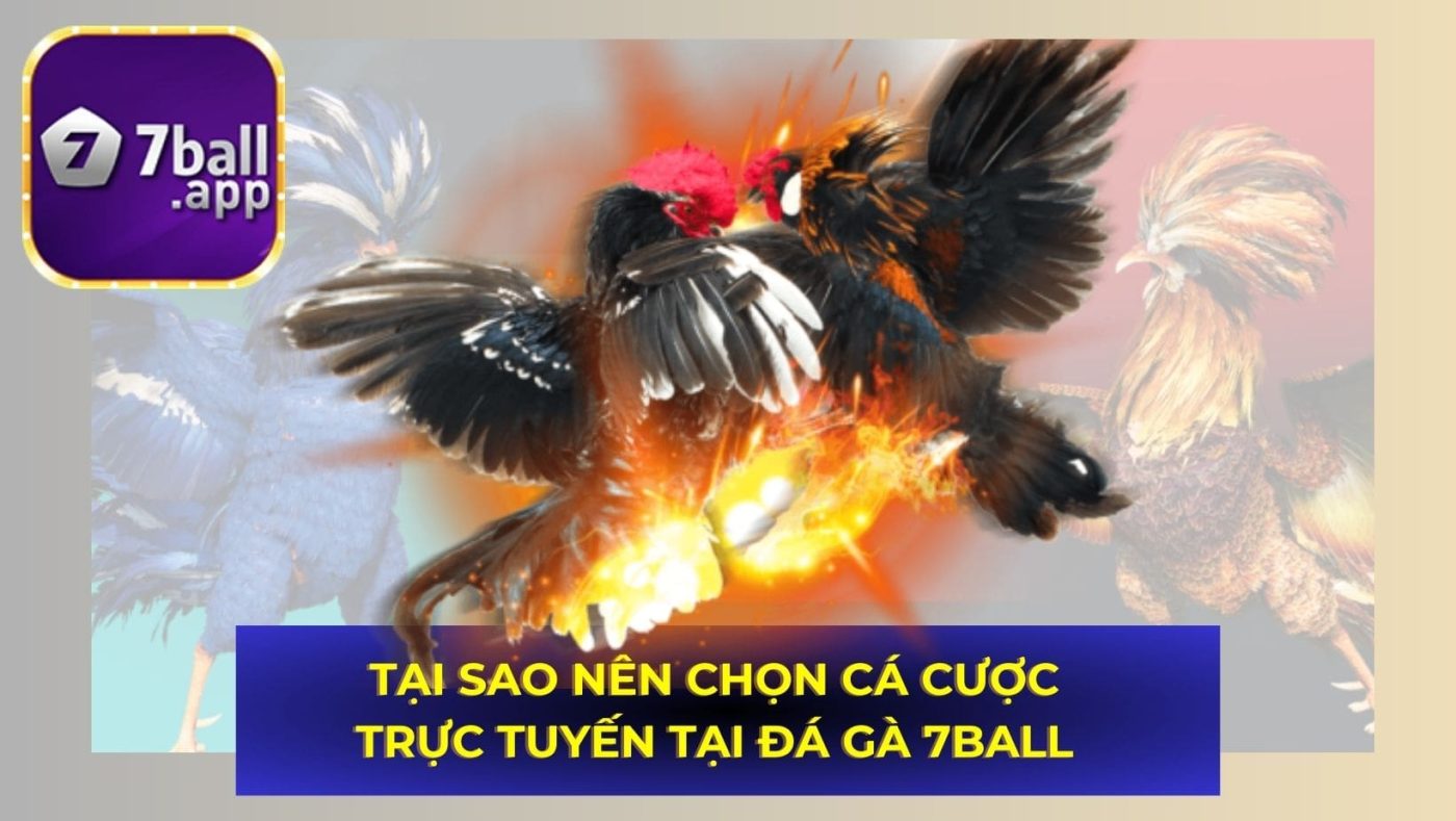 Tại sao nên chọn cá cược trực tuyến tại Đá gà 7Ball
