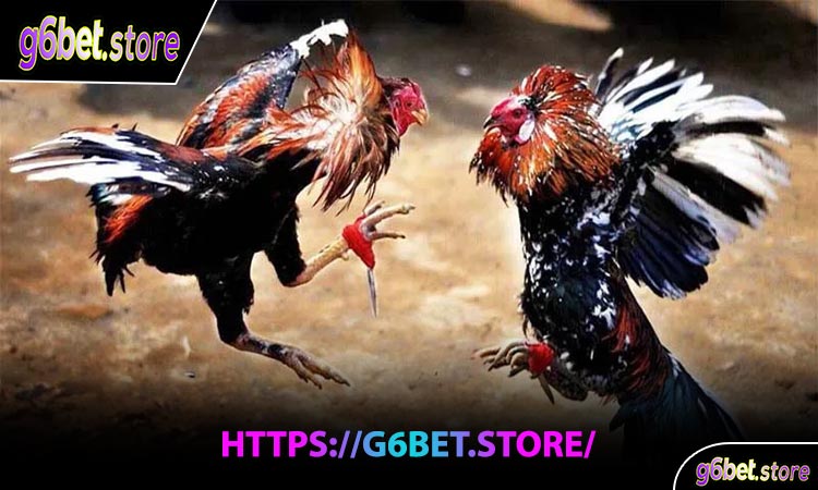 Nhận Thưởng Không Giới Hạn