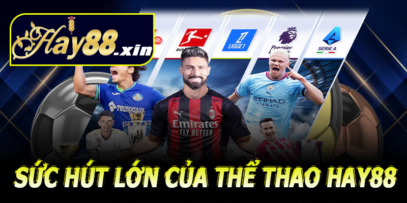 Live betting – Sức hút lớn của thể thao Hay88