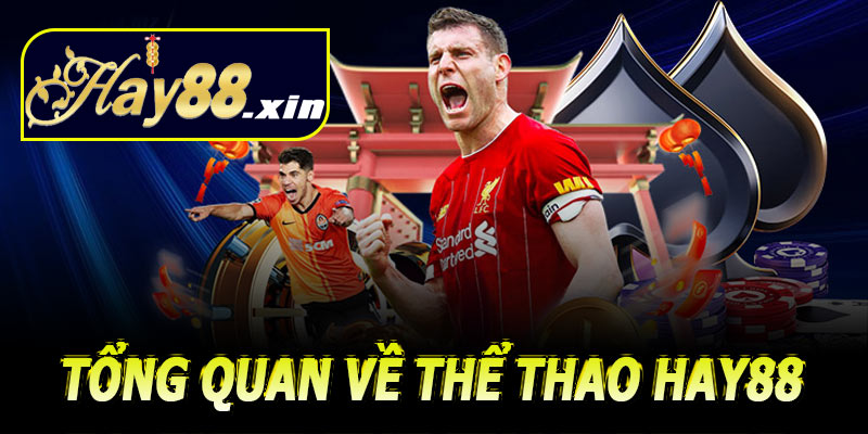 Giới thiệu tổng quan về thể thao Hay88
