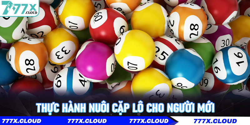 Thực hành nuôi Cặp Lô cho người mới